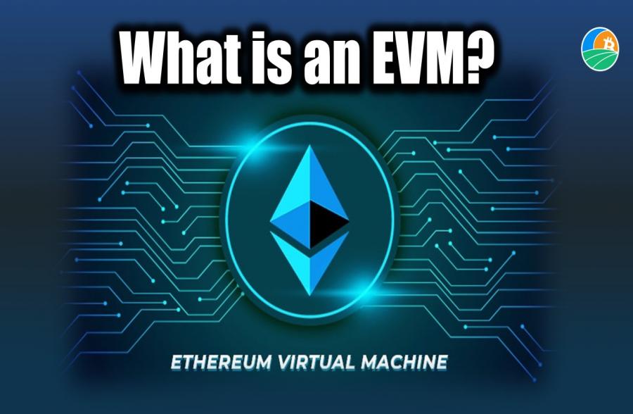 Article-image